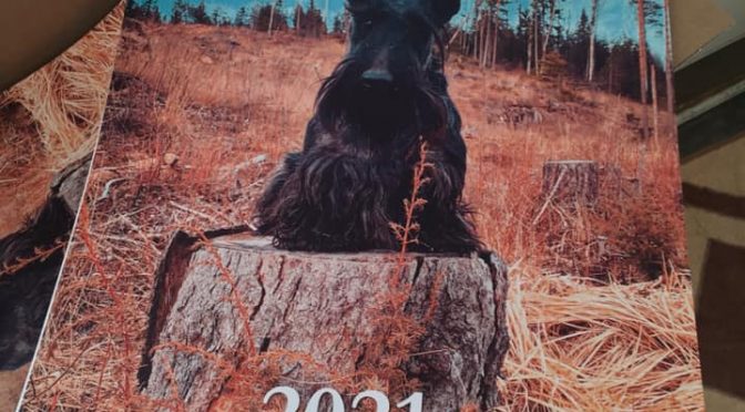 Skottikalenterit 2021