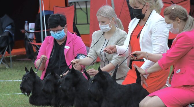 SKOTLANNINTERRIERI ERIKOISNÄYTTELY 2022