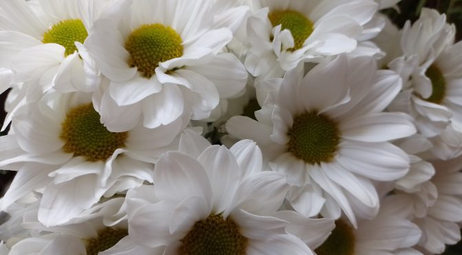 Vuoden 2025 palkitut skotit