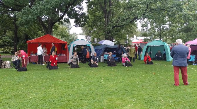 Erikoisnäyttelyn 23.8.2026 tuloksia